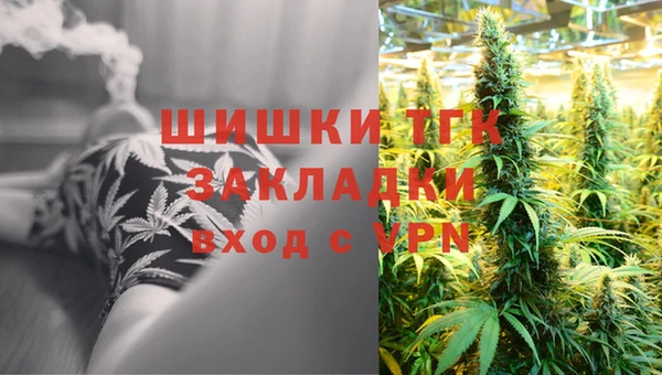 гашик Лабытнанги