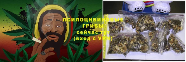 герыч Ладушкин