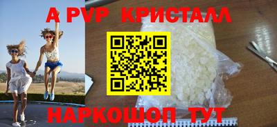 шишки Кимры