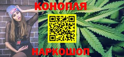 сатива Кингисепп