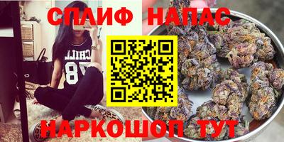 шишки Кимры