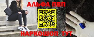 сатива Кингисепп