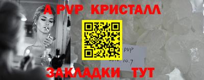 шишки Кимры