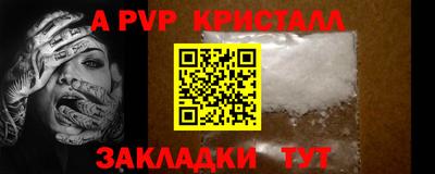 сатива Кингисепп